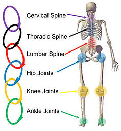 kinetic-chain