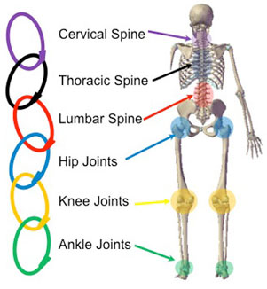 kinetic-chain