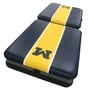 University of Michigan Kinesiology-(Portable Sideline Table)
