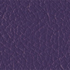 Purple Passion copy2