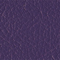 Purple Passion copy2