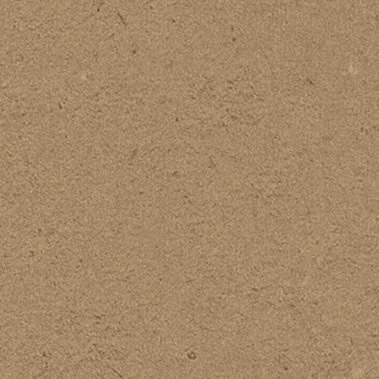 Cardboard Solidz - Athletic Edge